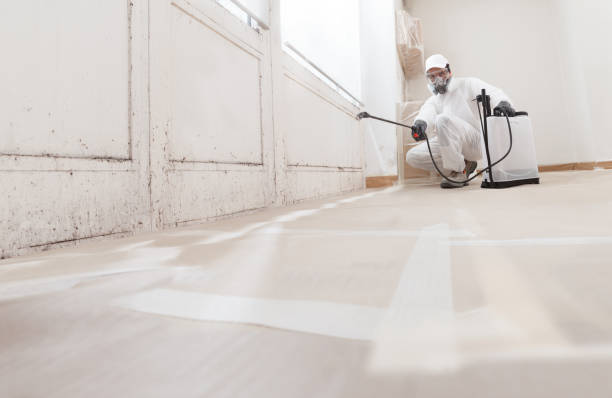 24/7 Emergency Mold Removal experts in Ivor, VA