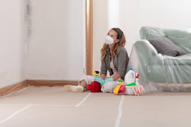 Reliable Mold Removal contractor in Ivor, VA by Mold Remediation HQ